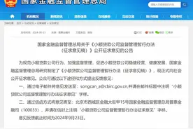 小额贷款公司对单户用于消费的贷款余额不得超过二十万元！国家金融监督管理总局发文征求意见，信息量大图片