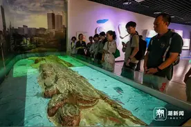 文化中国行·长江之歌丨重庆涪陵：长江水下40米的博物馆里，藏着穿越千年的水文密码图片