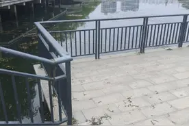 凌晨，郑州一女子跳湖身亡图片