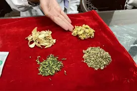 不只有“酸梅汤” ，中医专家推荐这些秋季中药茶饮→图片