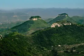 蒙阴蜜桃产业迎来新篇章：国家鲁中山区桃产业集群项目盛大启动图片