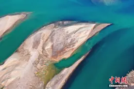 黄河湿地碧绿如墨 似翡翠镶嵌大地图片
