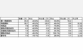 年末冲刺过后1月车市开局遇冷，豪华车热销新能源车下滑过半图片