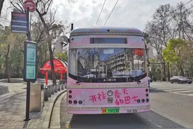 公交20路推出“开往春天的巴士”，粉嫩造型为上海增添春日烂漫图片