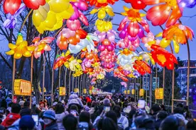 元宵节，25万人次到园博园赏花灯逛庙会图片