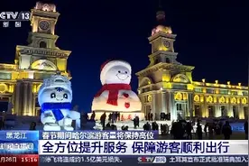 如何应对大客流？哈尔滨从“硬实力”到“软服务”让游客更温暖图片