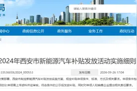 西安市新能源汽车补贴发放活动实施细则图片
