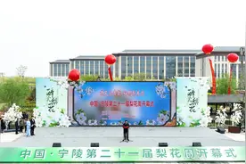 赏花、看节目 宁陵22万亩梨花盛开图片
