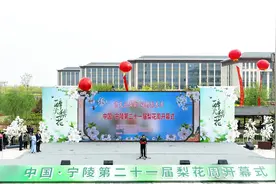 赏花、看节目 宁陵22万亩梨花盛开图片