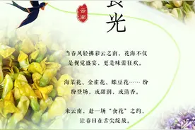 春日限定！云南开启舌尖上的 “花花世界”图片