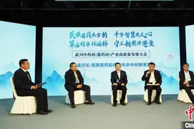 专家学者齐聚内蒙古小县城 谋中药材（蒙药材）发展道路图片