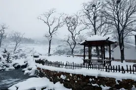 冬游环翠，奔赴一场冰雪山海之约图片