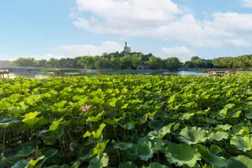 夏日北海公园风光美图片