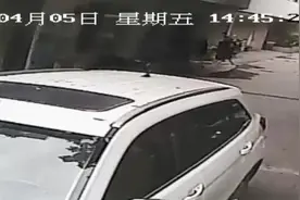 5岁女童小区内趴地玩耍遭车碾致死，司机被认定负全责，成都市交管局责令重新调查图片