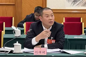 全国人大代表刘传健：无人机不等于无人管 要让无人机飞得更安全图片