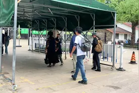 假期尾声天气晴好，森林公园迎大客流图片