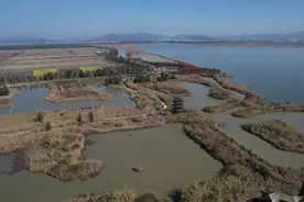 走进玉环漩门湾，潮新闻记者体验越冬水鸟同步监测图片