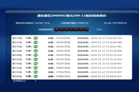 上海浦东三林镇宅地触及78.7亿元中止价成交：竞得人为中能建越秀华润联合体图片