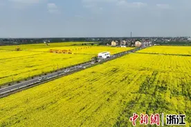 浙江公布2023年度“十大最美农村路”图片