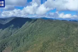 哀牢山危险在哪？实拍消防员进入未开发区域惊险瞬间图片