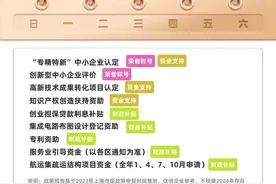 上海市级申报类政策2024年4月份排片，2024年月月有礼！图片