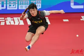 小蔡一碟|乒乓球，为什么这么热？图片