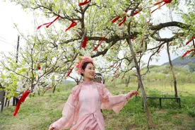 春到梨花谷 抚顺县“赏花经济”持续升温图片