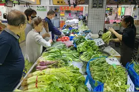 低于市场价20%-30%！这个直供专柜的蔬菜便宜又新鲜图片