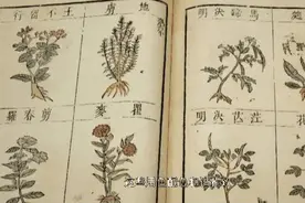 旧书新知丨报国寺镇馆之“书”——丹青绚烂的《精绘五色图注本草纲目图》（清刻本）图片