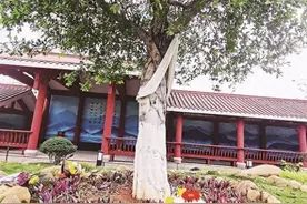 高等教育学科开拓者 厦门生态树葬第一人图片