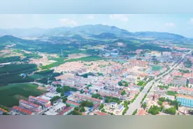 “小艾草”成就强村富民“大产业”——邹平市临池镇党建引领艾草产业高质量发展，以跨村联建推动乡村振兴图片
