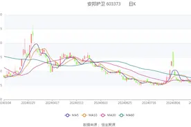 安邦护卫：2024年上半年净利润5286.19万元 同比增长9.82%图片