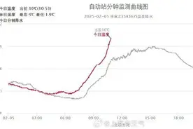 强冷空气周末来袭！上海将迎大风降温短时小雨，市区最低零下2℃……寒潮蓝警已拉响图片