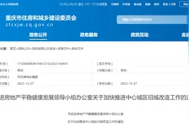 重庆市加快推进中心城区旧城改造工作图片