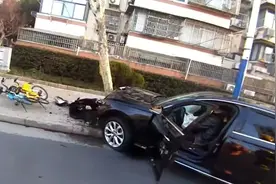 上海一男子驾车撞上大树，还掏出现金给周围人“发红包”？警方通报图片
