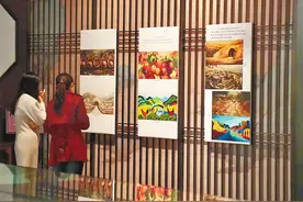 郑州有场“人机共生”艺术展 与AI共画未来图片
