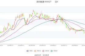深圳能源：2024年上半年净利润17.54亿元 同比下降6.60%图片