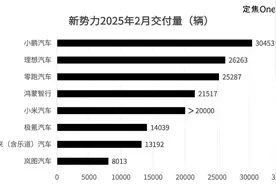 “新造车六强”排位赛：小鹏再超理想、问界蔚来失速图片