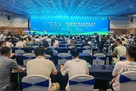 从木材进口大港到百亿产业集群——一根木头在日照的绿色征途图片