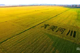 大连：探索农旅融合  走出乡村振兴新“稻”路图片