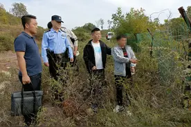 滕州俩男子偷鸡竟因一动作变“抢鸡”图片