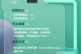 2024年湖北省武昌实验中学公开招聘竞赛教练公告图片