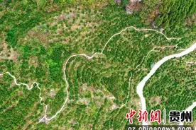 贵州沿河：“小火车”跑出乡村振兴“加速度”图片