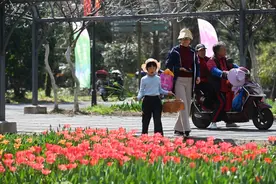 花香邂逅咖啡香，2025崇明花朝节开启春日里的双倍浪漫图片