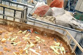 动力电池回收乱象：暴力拆解，再组装“三无产品”图片