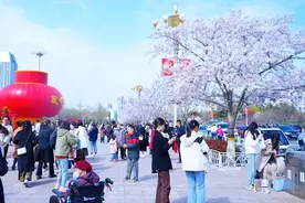 潍坊人民广场樱花季！如何方便快捷停车，看这里！图片