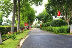 衡阳市石鼓区利民村：农旅融合让田园美、乡村兴图片