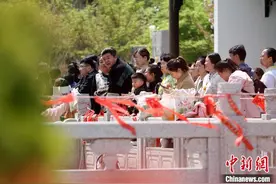 山东郯城：民众清明踏青享春光图片