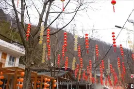 （新春走基层）秦岭山中民宿小镇体验“别样”年味图片