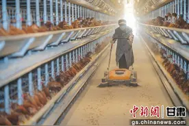 陇南成县：小村庄养出致富新产业图片